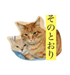舞い降りたおバカたち（個別スタンプ：4）
