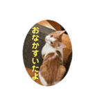 舞い降りたおバカたち（個別スタンプ：6）