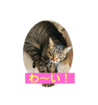 舞い降りたおバカたち（個別スタンプ：8）