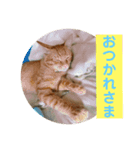 舞い降りたおバカたち（個別スタンプ：10）