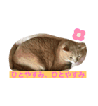 舞い降りたおバカたち（個別スタンプ：11）