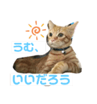 舞い降りたおバカたち（個別スタンプ：15）
