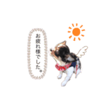 ひなた星人（個別スタンプ：2）