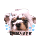 ひなた星人（個別スタンプ：4）