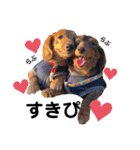 犬会スタンプ第一弾！！！（個別スタンプ：7）