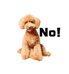 犬会スタンプ第一弾！！！（個別スタンプ：22）