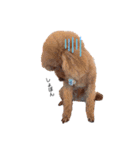 犬会スタンプ第一弾！！！（個別スタンプ：32）