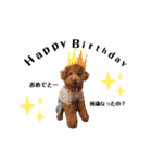犬会スタンプ第一弾！！！（個別スタンプ：39）