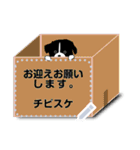 サス犬＆チビスケのメッセージスタンプ（個別スタンプ：2）