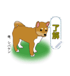 サス犬＆チビスケのメッセージスタンプ（個別スタンプ：4）