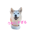 むぎのつぶやき（個別スタンプ：2）