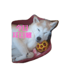 むぎのつぶやき（個別スタンプ：5）