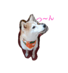 むぎのつぶやき（個別スタンプ：6）