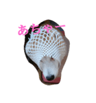 むぎのつぶやき（個別スタンプ：7）