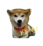 むぎのつぶやき（個別スタンプ：8）