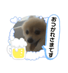 ぱこです3（個別スタンプ：8）