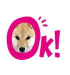 みみちゃんスタンプNO1（個別スタンプ：3）