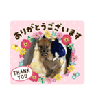 みみちゃんスタンプNO1（個別スタンプ：4）