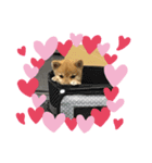 みみちゃんスタンプNO1（個別スタンプ：5）