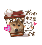 豆ちゃんのための豆ちゃんスタンプ（個別スタンプ：3）