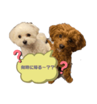 愛犬♡わたちょびPart2（個別スタンプ：2）