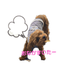 愛犬♡わたちょびPart2（個別スタンプ：5）