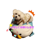 愛犬♡わたちょびPart2（個別スタンプ：6）