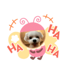 L＆R（個別スタンプ：3）