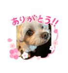 L＆R（個別スタンプ：5）