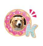 コーギーカーディガンコーギーミックス犬（個別スタンプ：14）