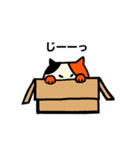 使いやすい！三毛猫「ミャン・玉三郎」（個別スタンプ：5）