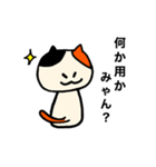 使いやすい！三毛猫「ミャン・玉三郎」（個別スタンプ：10）