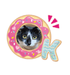 白蛙のぺっとすたんぷ（個別スタンプ：9）