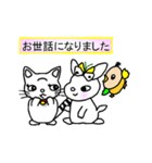 猫が来た（個別スタンプ：24）