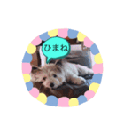 おーいしけ（個別スタンプ：2）