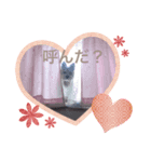 おーいしけ（個別スタンプ：4）