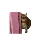 だるい猫ディディ（個別スタンプ：2）