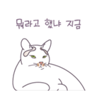 モジリ（個別スタンプ：4）