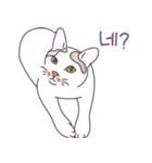 モジリ（個別スタンプ：16）