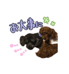 むさし＆シェリ（個別スタンプ：2）