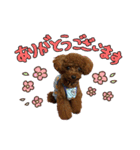 むさし＆シェリ（個別スタンプ：7）