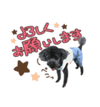 むさし＆シェリ（個別スタンプ：8）