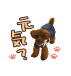 むさし＆シェリ（個別スタンプ：23）