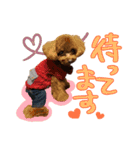 むさし＆シェリ（個別スタンプ：24）
