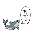 しゃべるホオジロザメ（個別スタンプ：2）