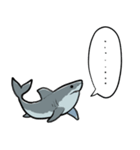 しゃべるホオジロザメ（個別スタンプ：4）