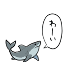 しゃべるホオジロザメ（個別スタンプ：5）