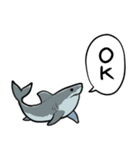 しゃべるホオジロザメ（個別スタンプ：6）