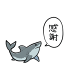 しゃべるホオジロザメ（個別スタンプ：8）