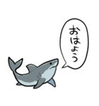 しゃべるホオジロザメ（個別スタンプ：9）